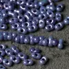 2X4Mm Importados de Japón Cuentas de Cacahuete Mgb 46 Colores Cuentas de Arroz Cuentas de Vidrio Accesorios Hechos a Mano para Bricolaje Materiales