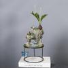 Maceta de bambú suculenta transfronteriza árbol de la fortuna bonsái vintage bambú de arroz interior de buen crecimiento suspensión isla flotante hierro micro paisaje Cuenca