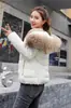 Abrigo Corto de Algodón para Mujer con Cuello Grande de Piel, Versátil y Ceñido, Chaqueta de Invierno para Mujeres Petites