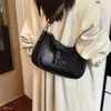 Nova bolsa feminina simples para o dia a dia, luxuosa e de nicho, com um toque de inverno, bolsa de ombro leve, estilo coreano, 2026