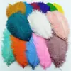 Plumas de Avestruz de 10-15 cm al por Mayor en Stock para Decoración de Bodas, Manualidades DIY, Disfraces de Escenario Plumas de Avestruz al por Mayor