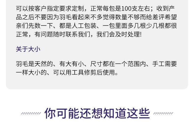 鸵鸟毛布条8-10_27