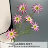 Cenário de Flor de Simulação Layout Crisântemo Mai Xiang Margarida Mona Garden Mori Casamento Casamento Estrada de Flores Artificiais Arranjo de Flores