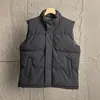 Chaleco chaqueta de algodón casual, impermeable, cortavientos, mullido, cálido, cómodo, versátil, engrosado, con cuello alto, para otoño e invierno, para exteriores