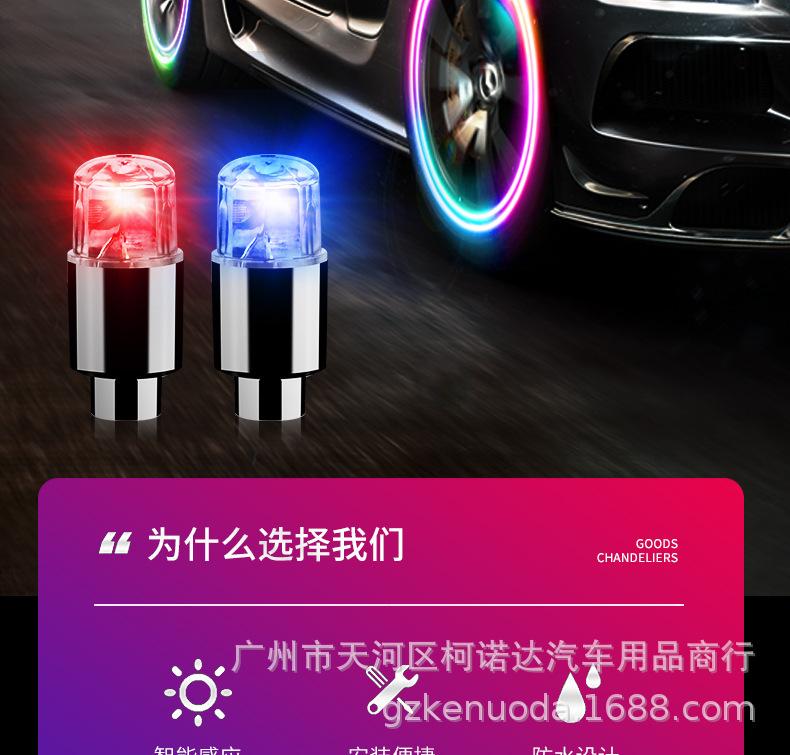790_02.jpg