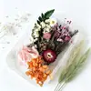 Materiales DIY de Flores Eternas, Flores Reales de Colores, Flores Secas, Regalos Hechos a Mano, Velas de Regalo, Accesorios Decorativos, Venta al por Mayor por Fabricante