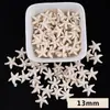 Cuentas Sintéticas de Turquesa Blanca con Forma Especial Estrella de Mar Mariposa Corazón Agujero Cuentas Sueltas Material para Pulsera Colgante DIY Venta al por Mayor