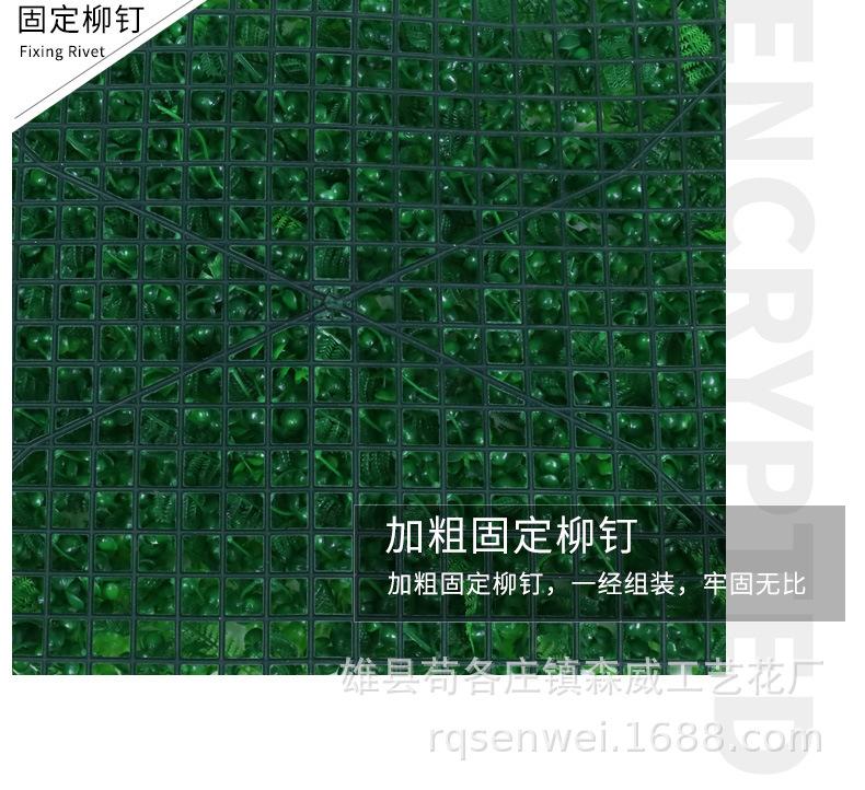 加密米兰草_08.jpg