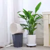 Maceta Flor de Diamante Plástico Sala de Estar Maceta de Diámetro Grande Maceta para Plantas Verdes Ave del Paraíso Maceta Octogonal Engrosada de Gama Alta Planta