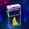 Lâmpada de Atmosfera Lâmpada de Flash Visual Porta-Cigarros 20 Concha Transparente Isqueiro Recarregável Flip Resistente à Pressão Venda Quente Transfronteiriça Amazon