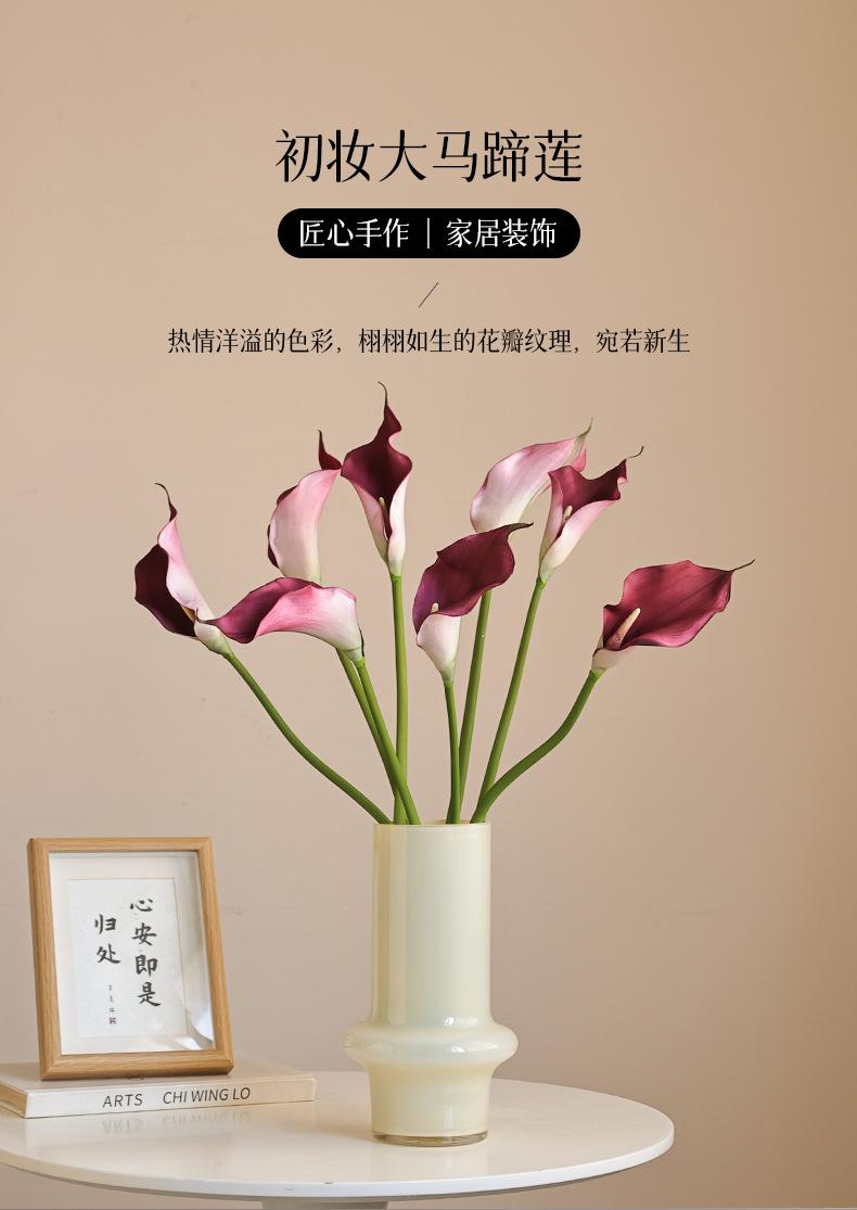 初妆大马蹄莲_01.jpg