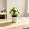 Maceta Cerámica Imitación Pastel 10 Claveles de Seda Planta Artificial en Maceta Decoración Creativa Flor Artificial Maceta Plástico Venta al por Mayor