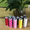 Hilo de Coser Hilo de Coser Hilo de Color Doméstico Hilo de Máquina de Coser Eje Pequeño Hilo de Coser a Mano 10 Piezas Poliéster de Alta Calidad