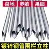 Poste vertical oco pontiagudo antiferrugem tubo redondo espessado tubo de aço galvanizado poste vertical circular cerca para cerca de pomar para horta