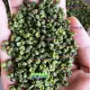 Los Materiales Medicinales Chinos Incluyen Pimienta de Sichuan Natural, Pimienta de Ratán, Pimienta Verde, Pimienta Negra y Pimienta Roja para Uso Medicinal y Alimentario