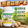 Cebolla Jengibre Ajo Factor de Aumento de Rendimiento Fertilizante Siembra de Verduras Hojas Gruesas Fertilizante Orgánico Hinchazón de Fruta Gránulos para Aumento de Rendimiento Fertilizante de Liberación Lenta