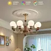 Araña de salón vintage, luz principal para el pasillo, elegante modelo nuevo de estilo francés con un toque de alta gama, lámpara retro americana tipo frijol mágico para dormitorio y comedor