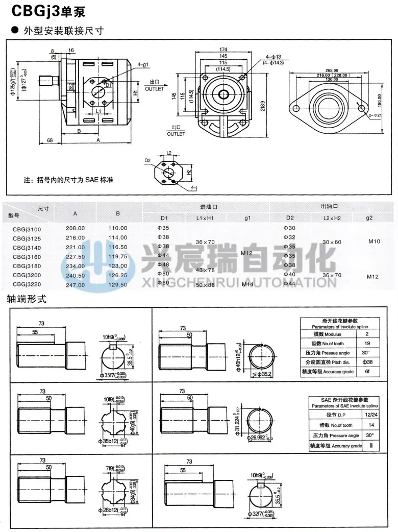 CBGJ3_18 单泵.jpg
