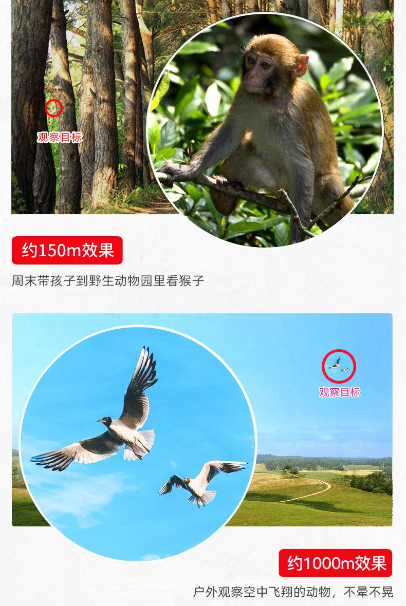 1242E款_15.jpg