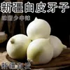 Cebolletas Blancas de Xinjiang 5 kg Cebolla Blanca Plato Frío Verduras Frescas para Consumo en Crudo con Envío Gratis Mayoreo