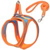 Correa para Mascotas Transfronteriza Arnés de Pecho Exterior para Pasear Gatos Chaleco para Perros Estilo Chaleco Arnés de Pecho Anti-rotura para Mascota Pequeña
