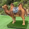 Juguete de Animal para Montar y Mecer Atracción Infantil para Parque de Juegos Barco del Desierto Ruta de la Seda Punto Popular para Fotos Decoración