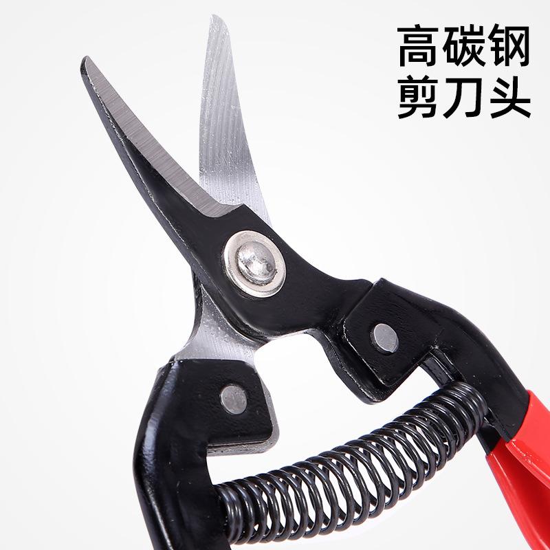 主图3