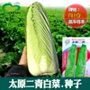 Semillas de Col Erqing de Taiyuan Huerto Jardín de Verduras Menos Fibra Hojas de Cáñamo Verde Semillas de Col Tiernas Semillas de Verduras