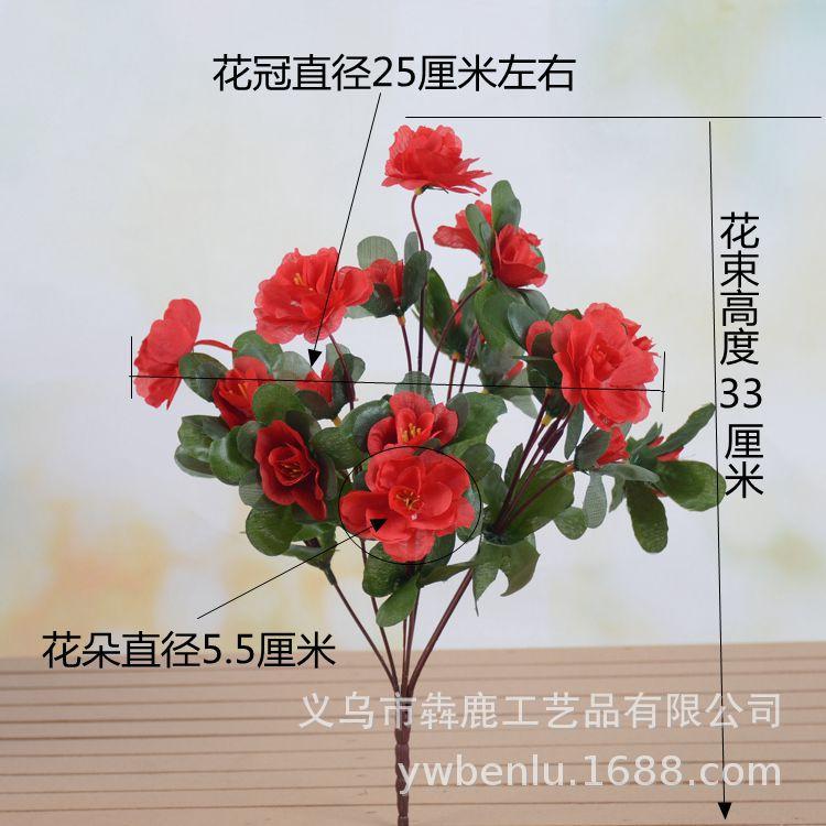 DSC_0554_副本.jpg