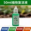 Solución Revitalizante para Plantas Resuelve el Problema de Hojas Amarillas, Crecimiento Retardado y Condiciones de Casi Muerte en Plantas, Adecuada para Frutas, Verduras, Plantas Verdes y Flores. Disponible para Dropshipping