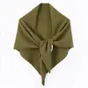 Bufanda triangular de lana pura para mujer, estilo coreano, sencilla, cálida, larga, para otoño e invierno, nueva, transfronteriza