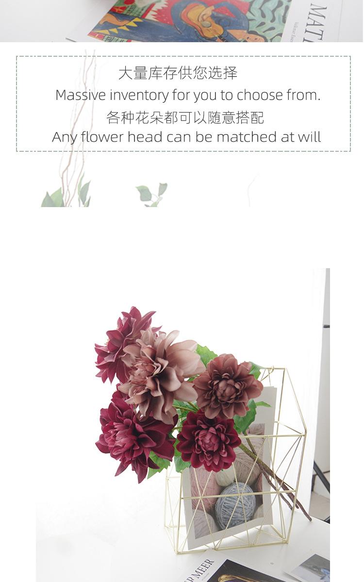 详情_05.jpg