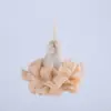 Bolas de Baño Colgantes, Esponja de Baño, Bola de Baño Exfoliante, Bola de Flor de Baño, Herramienta para Frotar la Espalda para Niñas, Gadget de Baño Espumoso, Bola de Flor de Baño