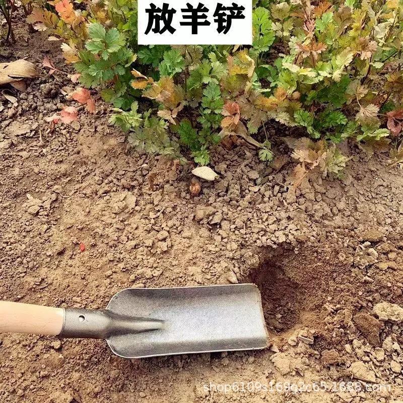 放羊铲
