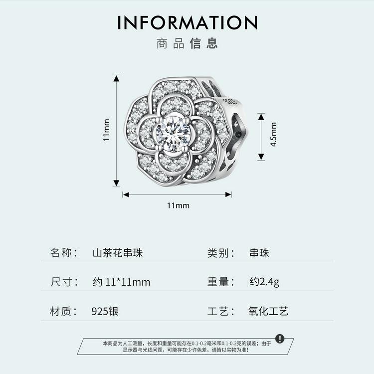 SCC2493_03.jpg