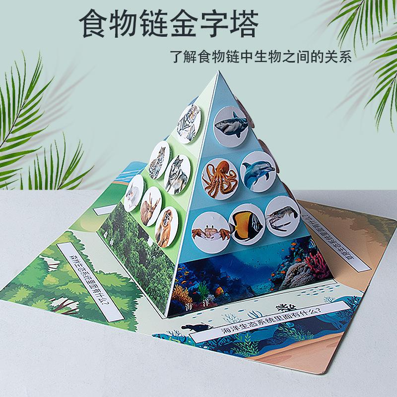 儿童玩具科学实验食物链金字塔手工diy科技小制作生物纸盒批发