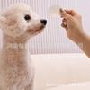 Lenços de Dedo para Limpeza de Pets Lenços para Limpeza dos Olhos de Pets Lenços de Dedo Lenços de Dedo para Limpeza dos Olhos de Pets Lenços para Limpeza dos Dentes
