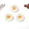 Flor de Ciruelo Simulada de 5.5 cm Cabezal DIY Corona Accesorios de Tela Accesorios para el Cabello Accesorios para Ropa Props de Fotografía Flor Decoración del Hogar