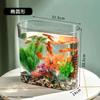 Caja de Almacenamiento de Escritorio Tanque de Peces Transparente Tanque Pequeño para Peces Dorados Paisajismo del Hogar Arreglo Floral Oficina Mini Tanque para Tortugas