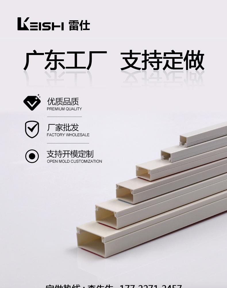 雷仕详情_01.jpg