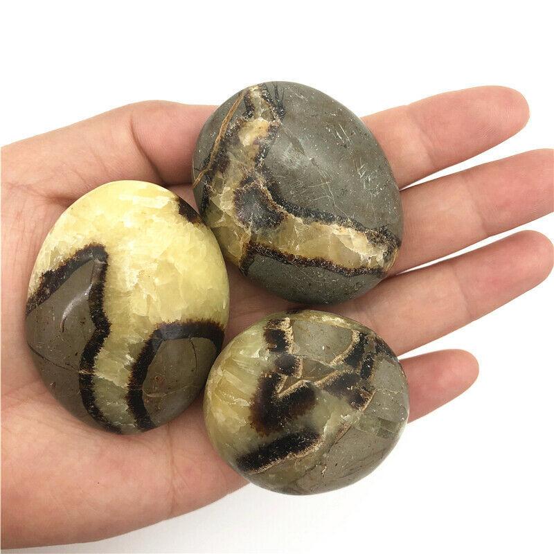 dragon septarian palm stone (3