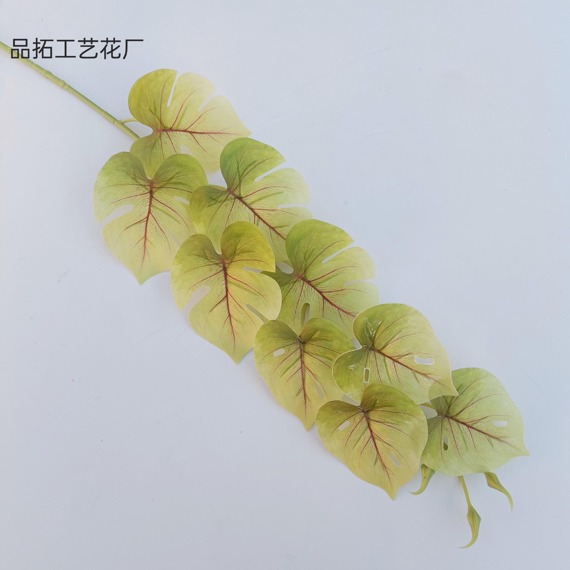 e32b20e69db772fa0862ed553ea9cb