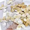 Estrella de Mar Acrílica Concha Cuentas de Dos Colores Nubes Difuminadas Perlas de Forma Especial Accesorios Hechos a Mano DIY Pulsera Collar Cabello