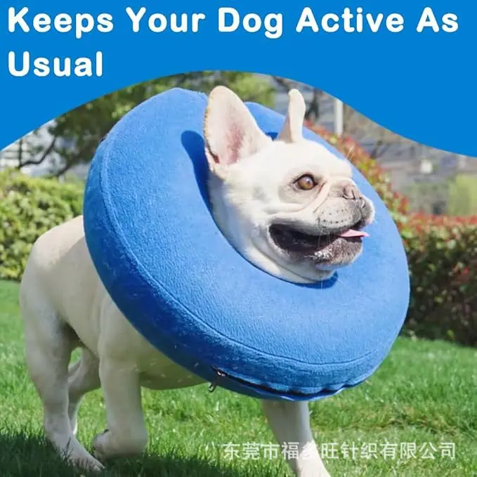 蓝灰狗脖圈