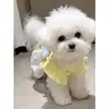25 Estilos Nuevos de Ropa para Mascotas para Perros y Gatos: Teddy, Bichón, Maltés, Ropa de Casa para Cachorros, Vestidos de Princesa, Ropa para Pomerania