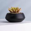 Atacado de fábrica logotipo personalizado simulação vaso de suculenta preto fosco moda simples decoração de planta artificial