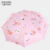 Paraguas de Frutas Vinilo Para Lluvia o Sol Paraguas Solar Creativo Protección Solar Sombrilla Paraguas Plegable Anti-UV Personalizado Venta al por Mayor