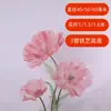 Flores de papoula artificiais com decoração de organza para vitrines, arranjos florais de shoppings, decorações de eventos e flores artificiais de chão para casamentos
