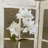3 Flores de Lirio Simulación 3D Pequeño Libro Rojo Mismo recomendar Boda Decoración de Boda Flor Ventana Fotografía Paisaje