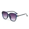 Óculos de Sol Feminino Novo Estilo, Proteção Solar de Armação Grande, Estilo Trendy de Influenciador, Armações para Venda Atacadista Transfronteiriça, Moda de Vendedor de Rua